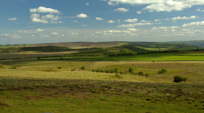 Gibbet Moor Gibbet Moor